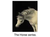 The Horse series.