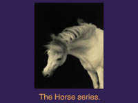 The Horse series.